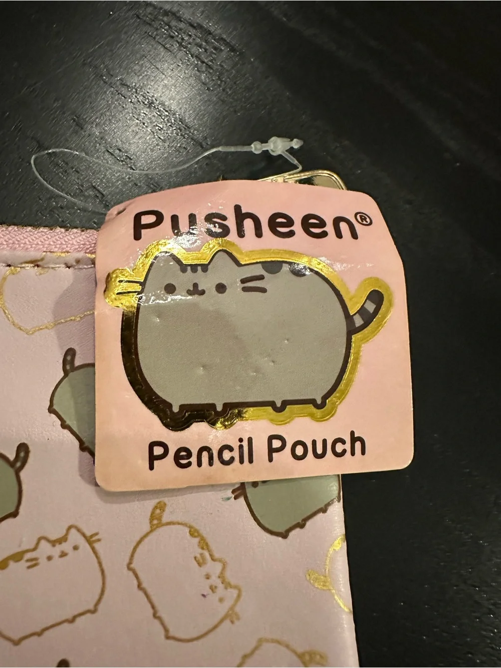 Pusheen Pink Pencil Pouch from Exclusive Box